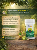Infographic explaining Rasayan Churna as an Ayurvedic rejuvenation therapy for immunity and physical strength.