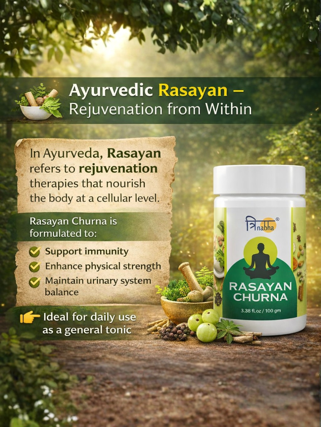 Infographic explaining Rasayan Churna as an Ayurvedic rejuvenation therapy for immunity and physical strength.